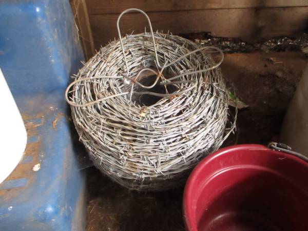 Barbed Wire 1