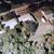 Huge Lot Beachside in Ormond Block Home 3/3 9 thumbnail