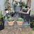 Large succulents great for any entry 1 thumbnail