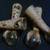 Antique  Eagle Claw Leg Ends (with Glass Ball) 2 thumbnail