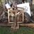 Old 3 point tractor Blade 1 thumbnail