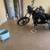 HARLEY DAVIDSON 2009 4 thumbnail