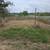 Cut grass in devine 50feet by 100feet area 11 thumbnail