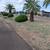 🌴LAWN CARE  - WINTER GRASS -WEED CONTROL  4805629181 15 thumbnail