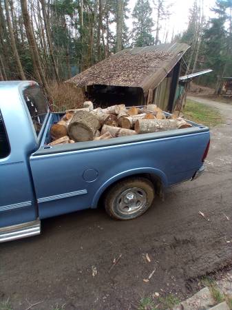 Truckload of dry wood - $10063435862087809122