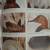 *WATERFOWL PAINTING. Blue Ribbon Technique. by William Veasey. AS NEW. 7 thumbnail