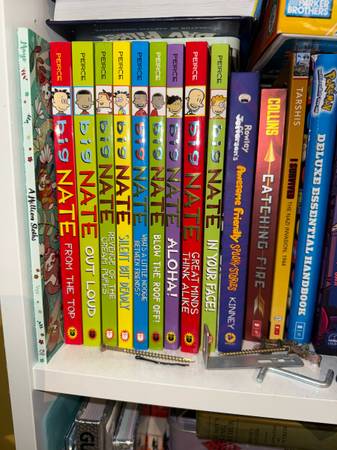 Young reader books 1