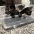 Kittens to good homes 7 thumbnail