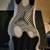 New Jordan 11s unisex they are size 10 in man & women 11.5. 4 thumbnail