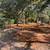 skidsteer work, 3 thumbnail