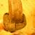 Antique Gutter Adze 8 thumbnail