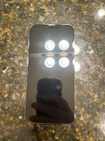 Unlocked iPhone 13 Pro Max 1TB  Excellent Condition English & Spanish 1