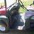 Toro UTV 4 thumbnail