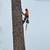 J & V TREE EXPERTS 13 thumbnail