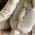 Large Heavy Rabbit Planter / Garden Basket Decor 10 thumbnail