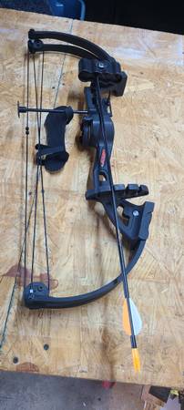 Bear Brave Bow 1