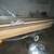 Sylvan 17 ft boat 1 thumbnail