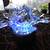 SWAROVSKI CRYSTAL FIGURINE LARGE 3 DAISY FLOWER ARRANGEMENT SECRET GAR 9 thumbnail