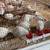 Quail and polish chickens 1 thumbnail