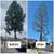 🔵 TEJEDA's Tree Specialist, Landscaping, more. Estimates. 🔵 2 thumbnail