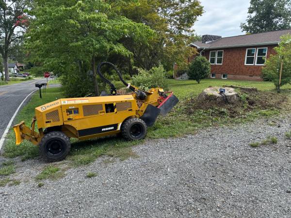 Stump Grinding 1