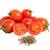200 Grape Tomatoes 1 thumbnail