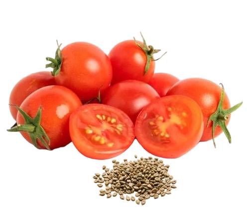 200 Grape Tomatoes 1