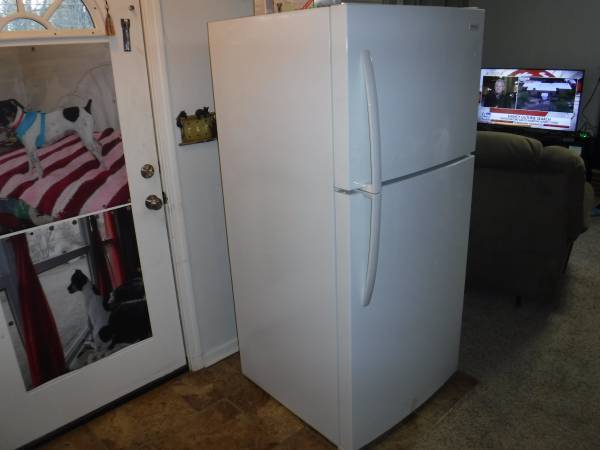 20 cu ft fridge 1