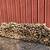 Firewood 1 thumbnail