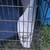 XXL Dog Cage 1 thumbnail