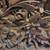 Wall Art Architecture Heavily Carved Wood 21 thumbnail