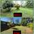 YARD CLEAN-UP( JUNKREMOVAL(LAWNCARE(TRIM TREE) 3 thumbnail