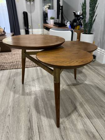 West Elm coffee table 1
