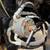 John Deere 160 Excavator + Hydraulic Thumb + Legal Load 17 thumbnail