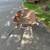 Steel Tray Wheelbarrow 4 thumbnail