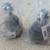 LT-K8695 Detroit Axle - Front Lower Ball Joints for f150/Navigator and 1 thumbnail