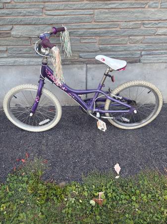 20” giant bicycle 1