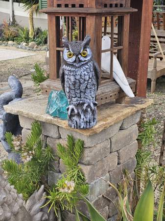 Plastic Fake Owl 1