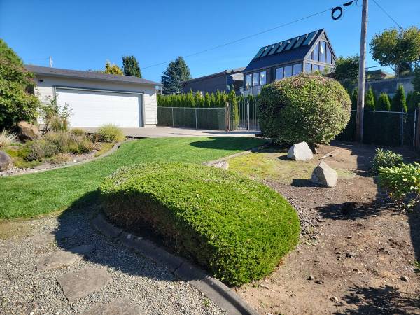 Cheap yard cleanup. 1