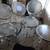 Ludwig 12 pc Clear Vistalite Double Base Drum Set ~ Excellent 7 thumbnail