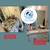 Professional Cleaning Service, Same Day, Next Day. Office, Condo,House 11 thumbnail