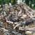 Fw.. kingsville farm selling firewood ... seasoned dry split and cut t 3 thumbnail