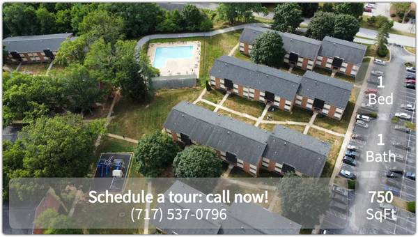 Make yourself at home! Beautiful 1 bed, 1 bath in York 1