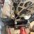 Ford 429 engine (D0VE-C) 2 thumbnail