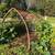 Corn crib arches great for weddings 2 thumbnail