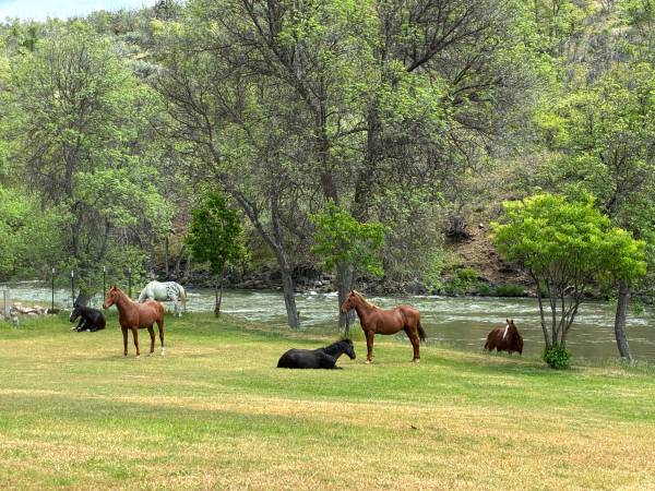 Relocating to Ashland or Yreka?   Winter Caretaker on the River? 1
