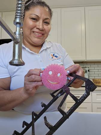 Need Help Keeping Up with Cleaning? (Austin) 1