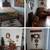 Temporary home / apartment adjacent available in the Manti area 4 thumbnail