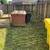 Landscaping/ garden maintenance 🌲 5 thumbnail