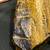 Unique Copper Mountain Petrified Rock pendant Great Unique Vibe!!! 9 thumbnail